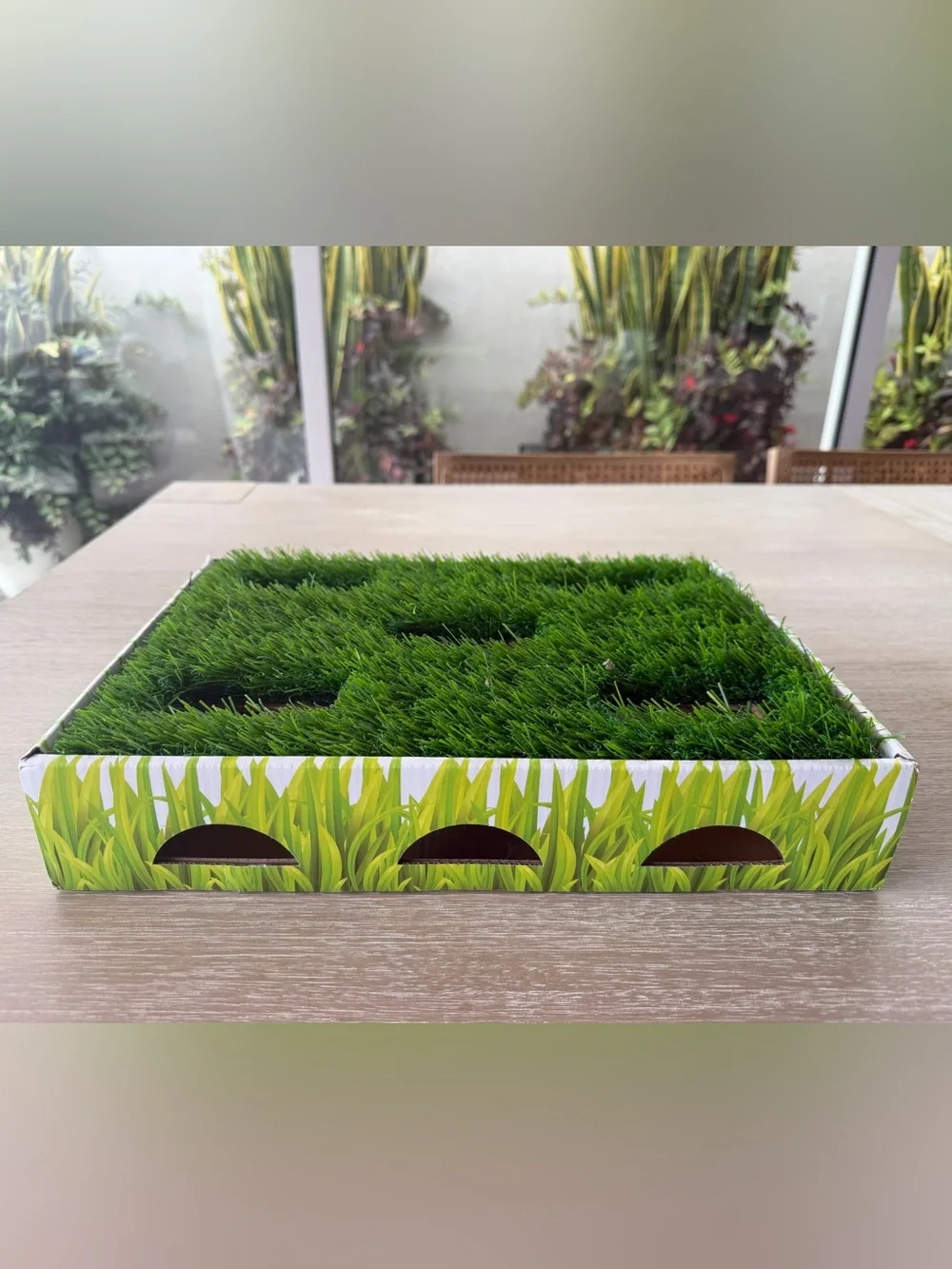 Lot for a lucky cat! Grass patch hunting box, scratcher bed, stuffed catnip toys